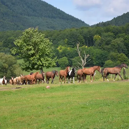 Couette-café Le Neufeld *