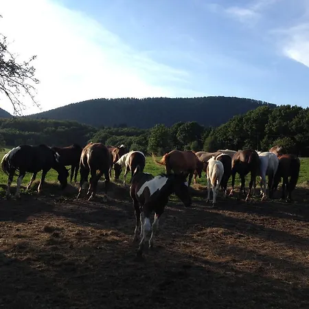 Le Neufeld * Oberhaslach